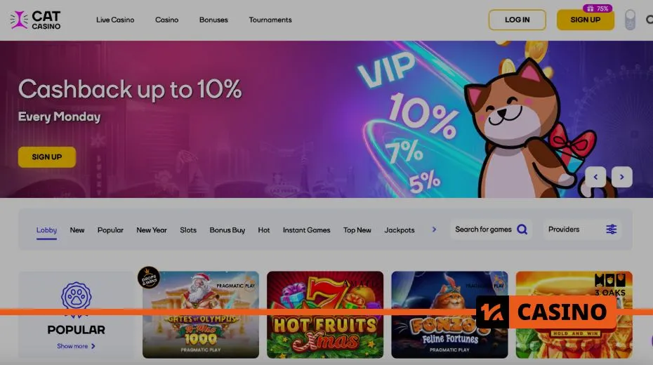 Cat Casino официальный сайт с подробной информацией о бонусах и акциях