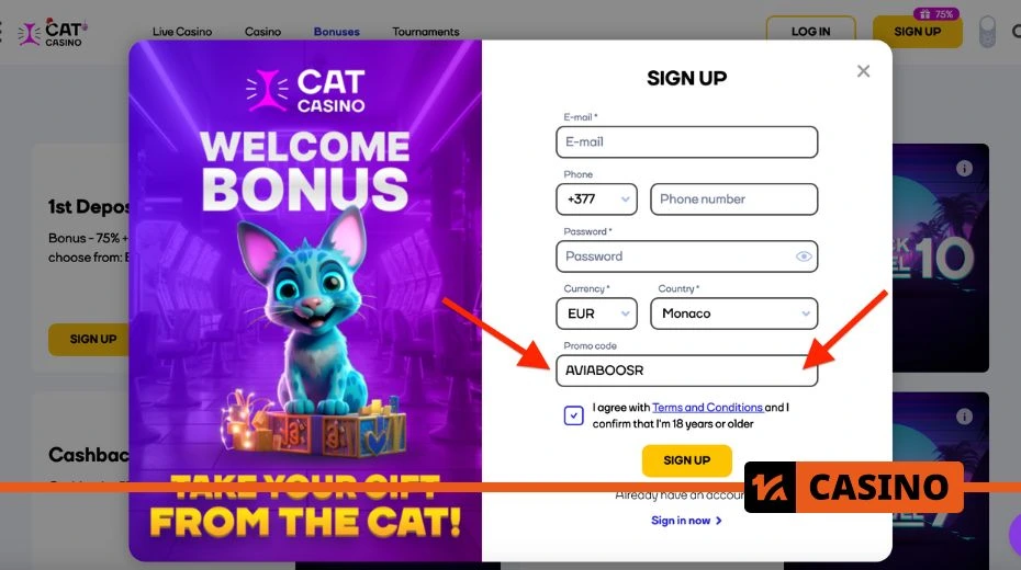 Cat casino промокод процесс регистрации для активации поощрительных вознаграждений