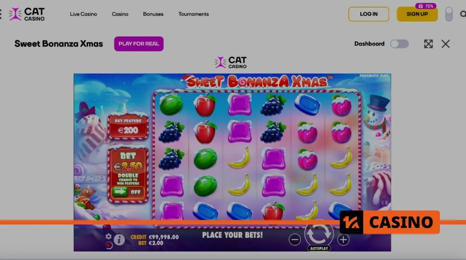 Cat Casino слоты доступны в демо-режиме для игры без риска
