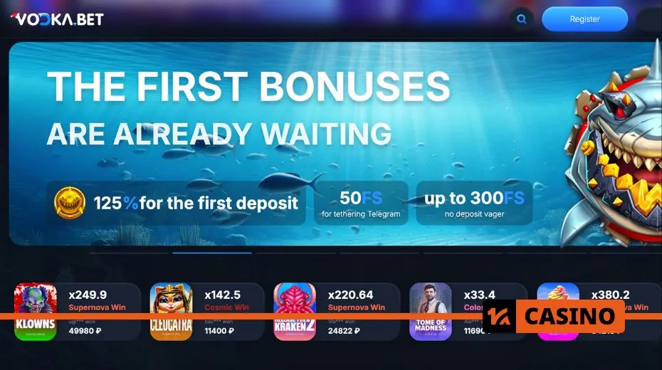 Vodka Casino review covering game variety, bonuses, payment methods, and customer support
